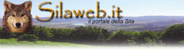 Silaweb.it - forum